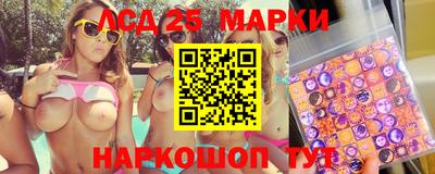 apvp Можга