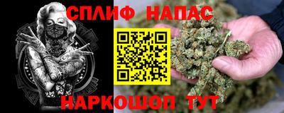 apvp Можга