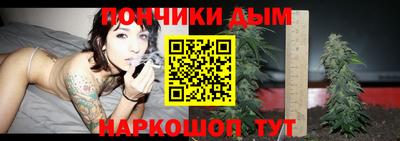 apvp Можга
