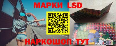 apvp Можга
