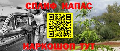 ALPHA PVP Моздок