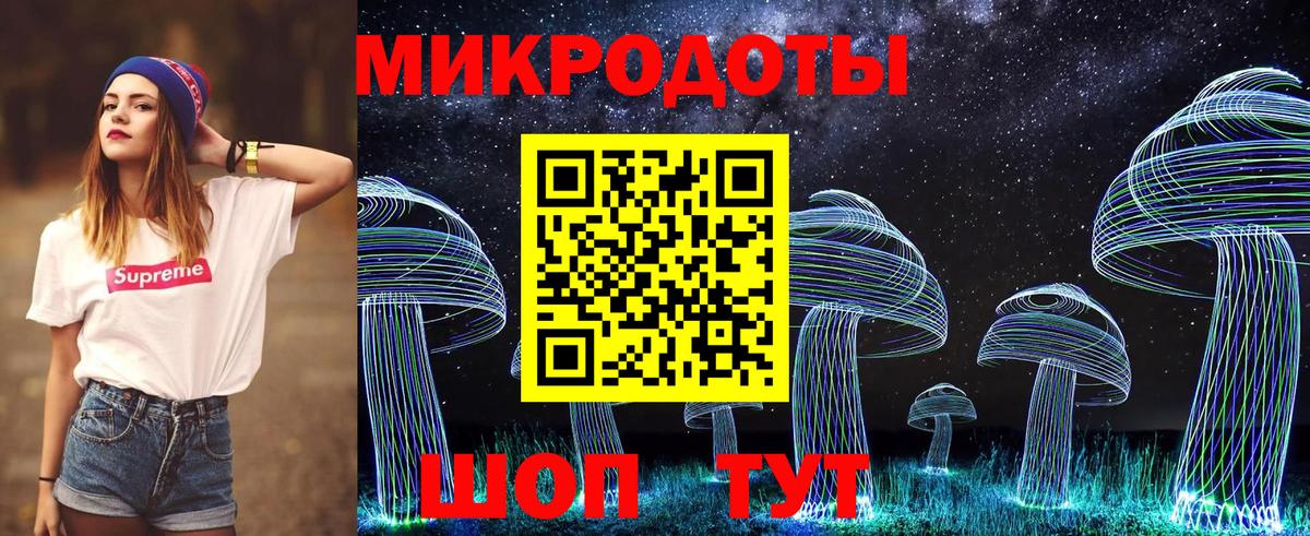 Псилоцибиновые грибы Psilocybine cubensis Фрязино