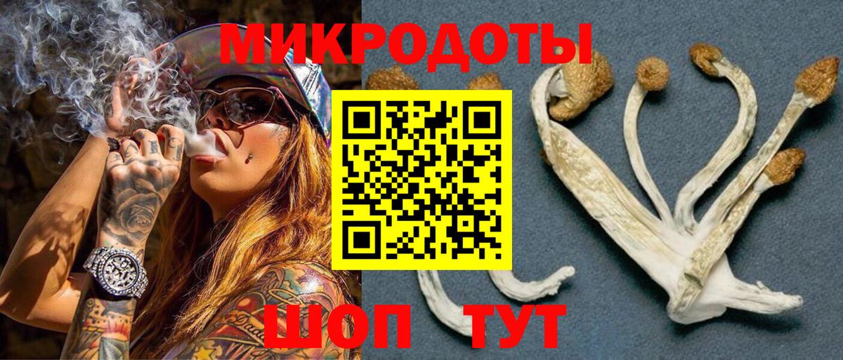 цены наркотик  Псилоцибиновые грибы Psilocybine cubensis  Вход с VPN  Фрязино 
